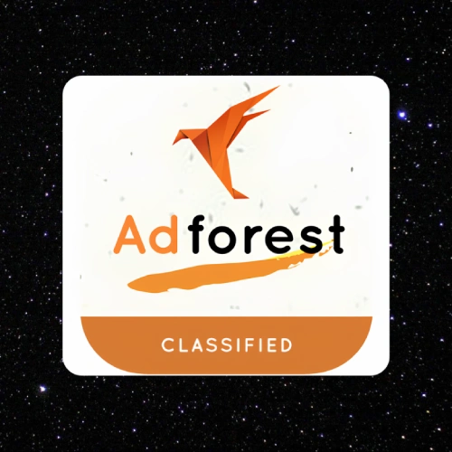 AdForest Theme With Key- Your Key to Profitable Websites! 🔑💸